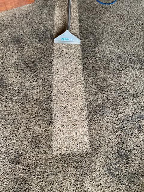 Zerorez&reg; Zr Wand&reg; pulling a clean stripe on beige carpet that was dirty and discolored